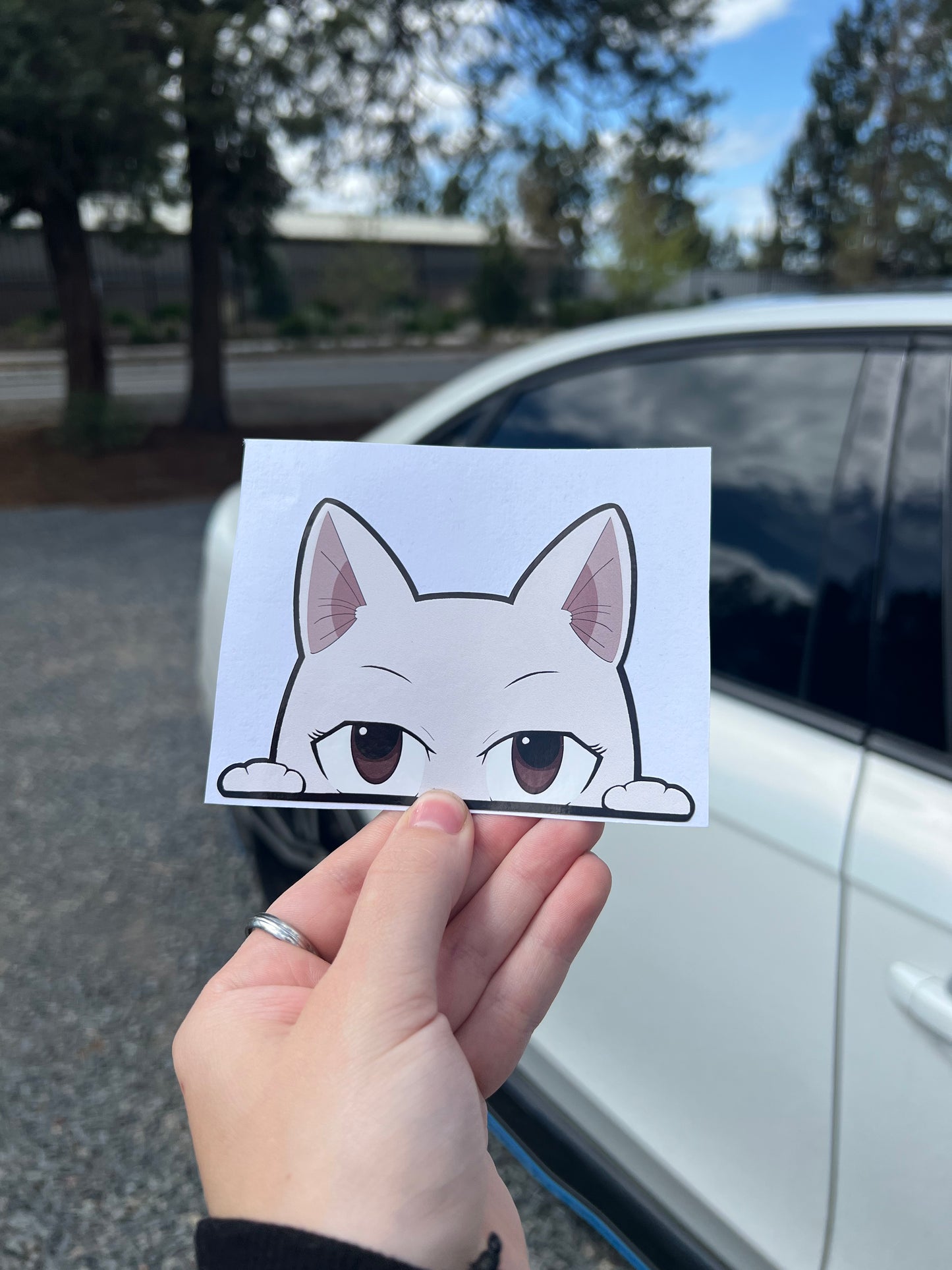 Charlé Peeker Sticker, anime car Sticker, Waterproof, anti-fading, Perfect for cars, laptops, windows, Fairy Tail anime